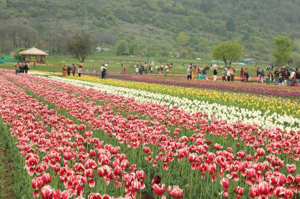 Photo of Kashmir 9 days trip - The trip Round up (Trip in Nut Shell) 1/20 by Harshad Datar