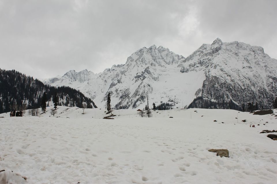 Photo of Kashmir 9 days trip - The trip Round up (Trip in Nut Shell) 5/20 by Harshad Datar