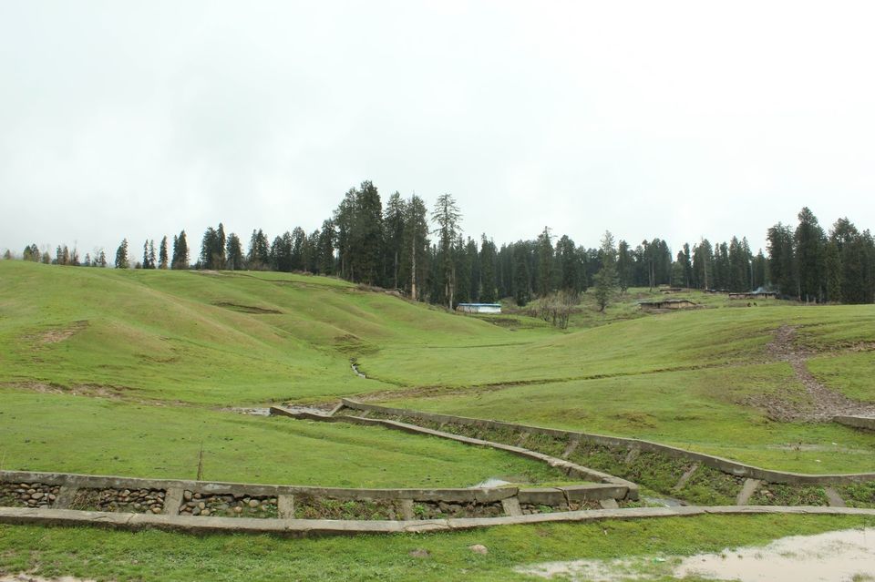 Photo of Kashmir 9 days trip - The trip Round up (Trip in Nut Shell) 8/20 by Harshad Datar