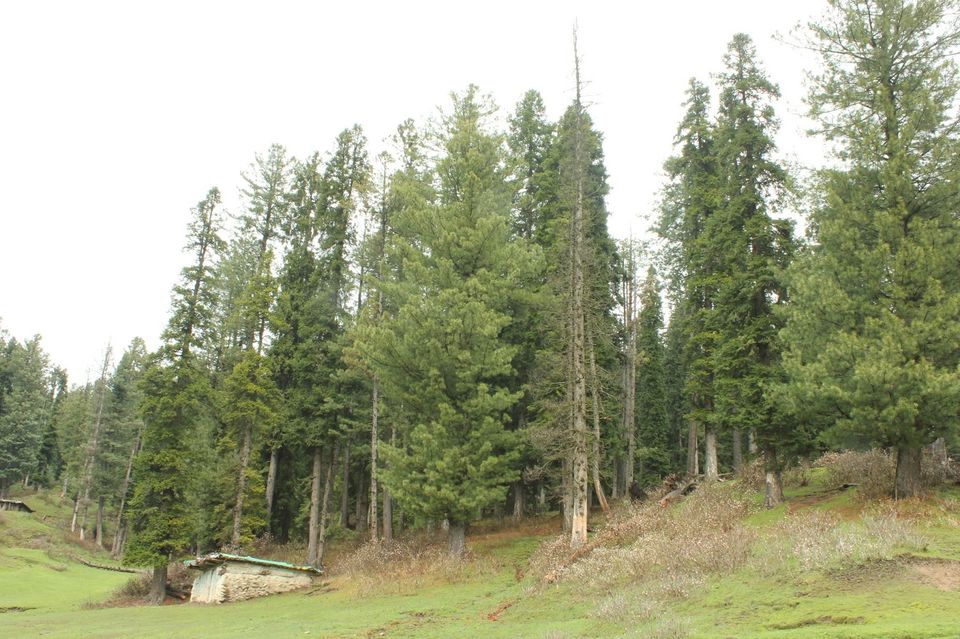 Photo of Kashmir 9 days trip - The trip Round up (Trip in Nut Shell) 9/20 by Harshad Datar