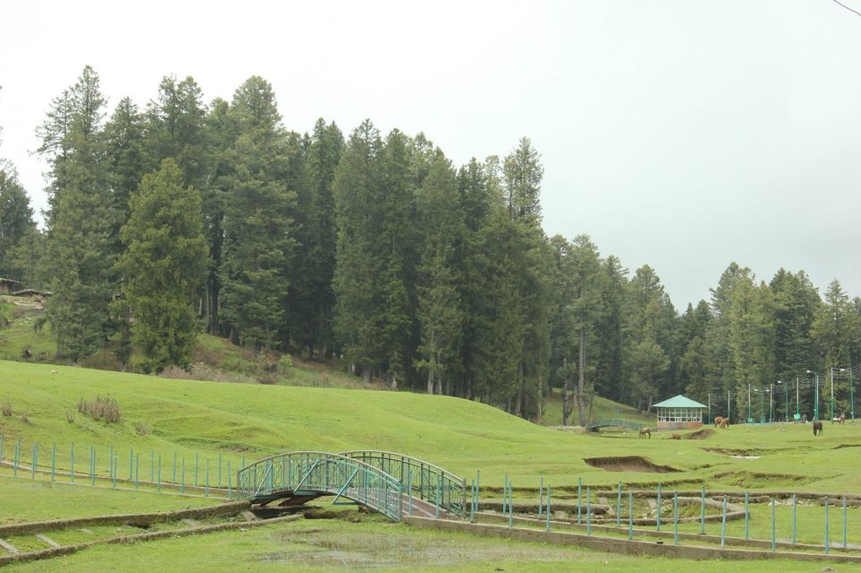 Photo of Kashmir 9 days trip - The trip Round up (Trip in Nut Shell) 10/20 by Harshad Datar