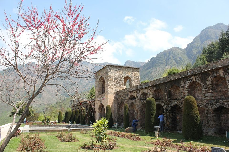 Photo of Kashmir 9 days trip - The trip Round up (Trip in Nut Shell) 11/20 by Harshad Datar