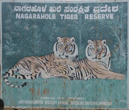 Photo of Kabini, India – Surrender yourself to Nature 2/10 by Pooja Ghelani