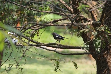 Photo of Kabini, India – Surrender yourself to Nature 3/10 by Pooja Ghelani