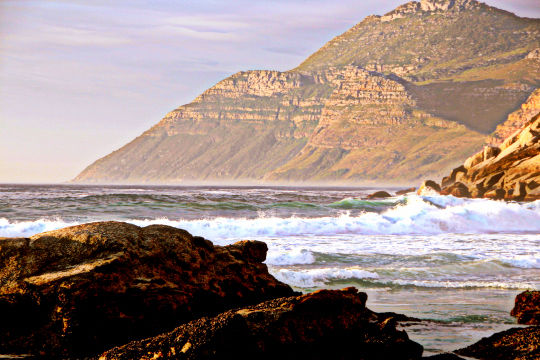 Photo of 5 days in Cape Town 1/23 by Pooja Ghelani