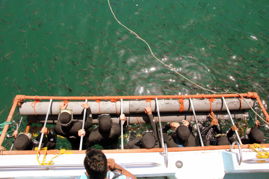 Photo of 5 days in Cape Town 19/23 by Pooja Ghelani