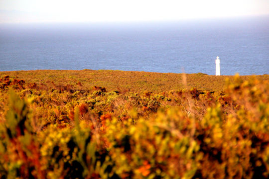 Photo of 5 days in Cape Town 23/23 by Pooja Ghelani