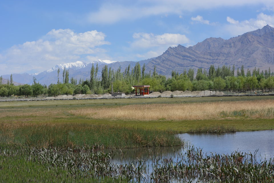 Photo of 5 things to do while in Leh ! by Rhishabh Jadhav