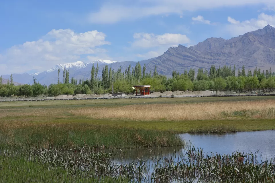 Photo of 5 things to do while in Leh ! by Rhishabh Jadhav
