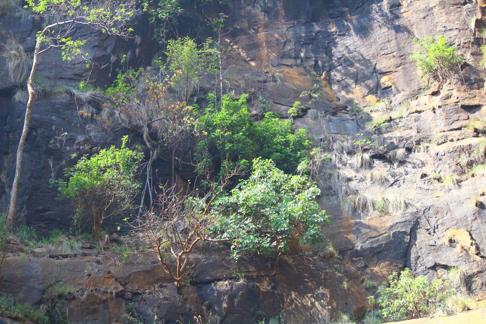 Photo of Hill With 72 Hairpin Bends - Kolli Malai/hills 13/14 by Raghu Vamsi Kodaboina