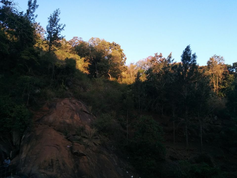 Photo of Hill With 72 Hairpin Bends - Kolli Malai/hills 6/14 by Raghu Vamsi Kodaboina
