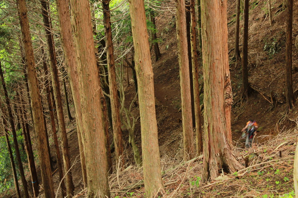 Photo of Mount Oyama, Kanagawa, Japan by Raghu Vamsi Kodaboina