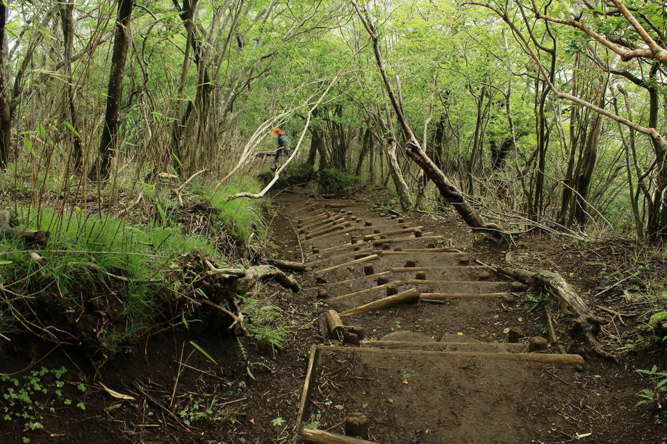 Photo of Mount Oyama, Kanagawa, Japan by Raghu Vamsi Kodaboina