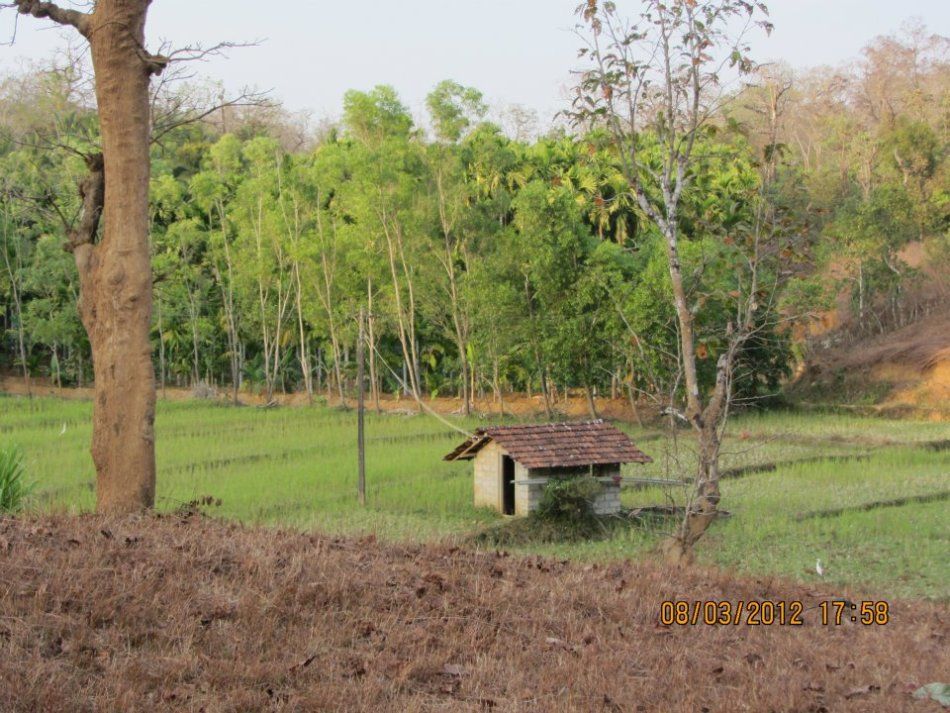 Photo of Alemane.. 24/47 by Harsha Balur