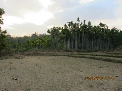 Photo of Alemane.. 28/47 by Harsha Balur