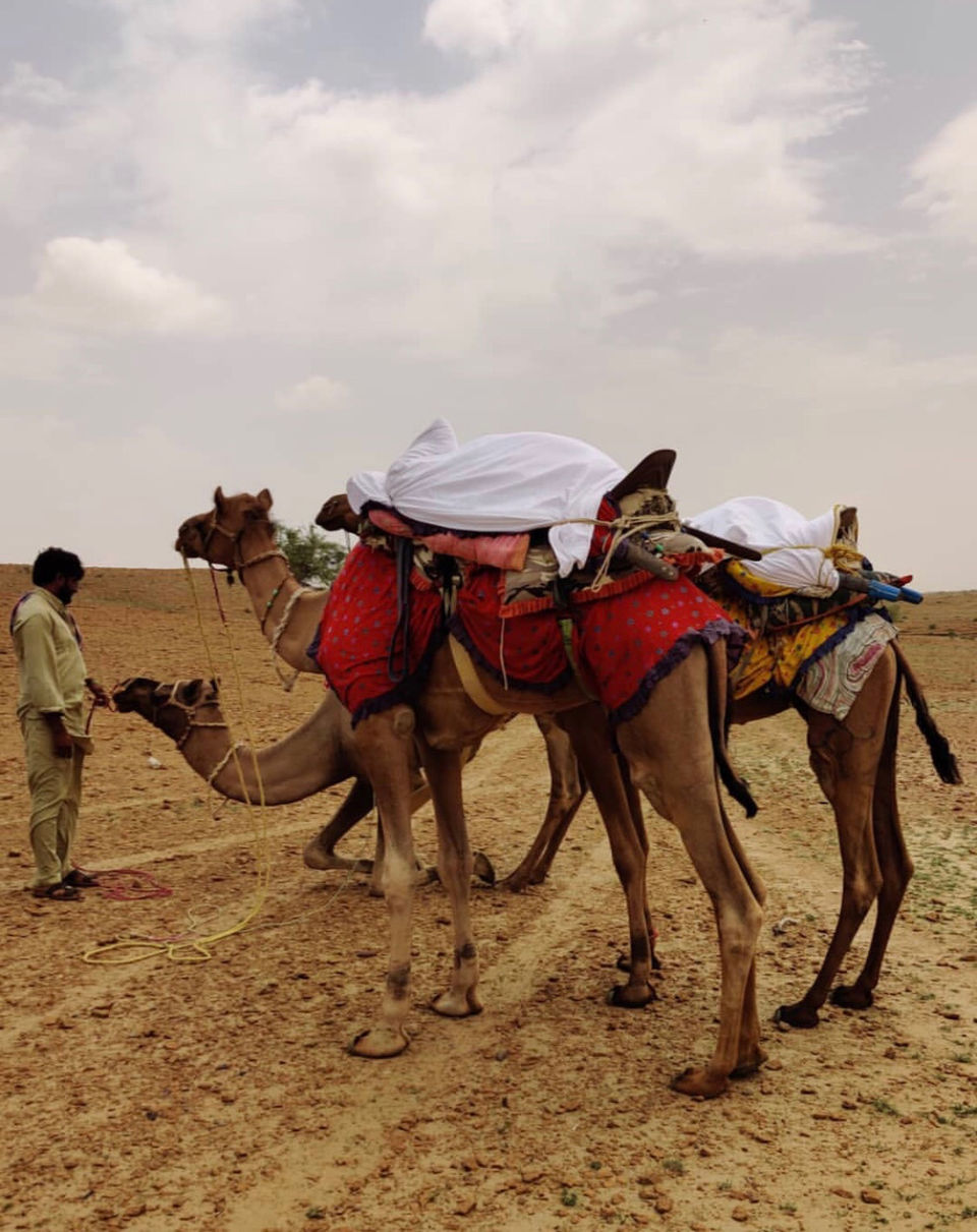 Photo of Rajasthan’s Golden City - Jaisalmer by Pooja Bhardwaj
