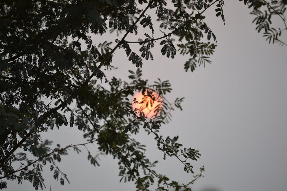 Photo of Jaipur On A Backpack 4/14 by Kartikeya Kaushik