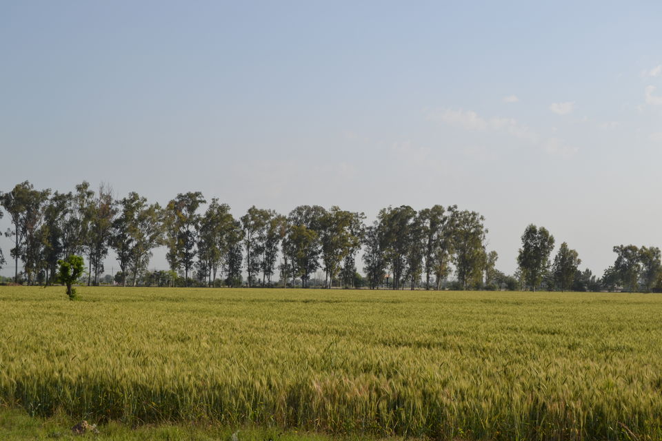 Photo of Family trip to Amritsar 7/17 by Kartikeya Kaushik