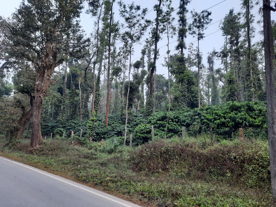 Photo of Temples, Beaches and Hills of Karnataka by Sridevi A.P