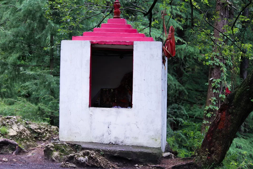 Photo of Trail to Triund Hill, Dharamshala, Himachal Pradesh, India by Touring Diaries