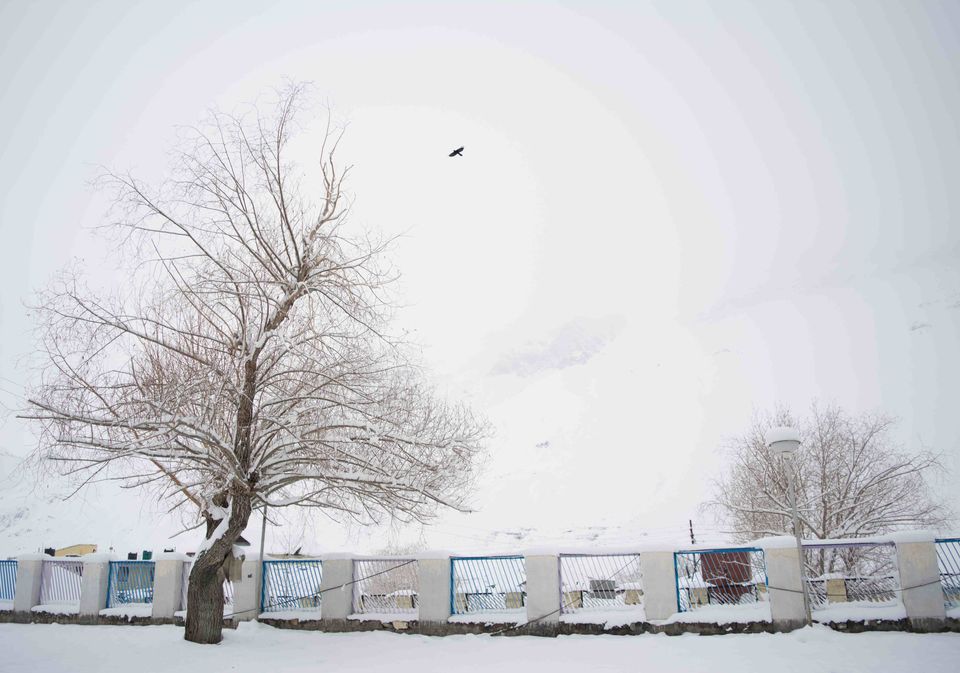 Photo of Trapped in a Snow Storm : Adventure of a lifetime !! 19/25 by Touring Diaries