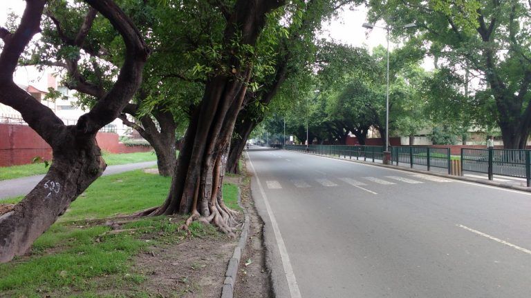 Photo of City Focus: Chandigarh | India 360 by Priya Krishnamoorthy