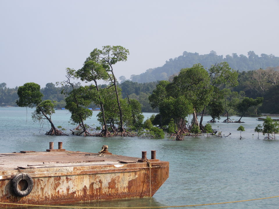 Photo of Havelock Island, South Andaman, Andaman and Nicobar Islands, India by Debanjan Ray