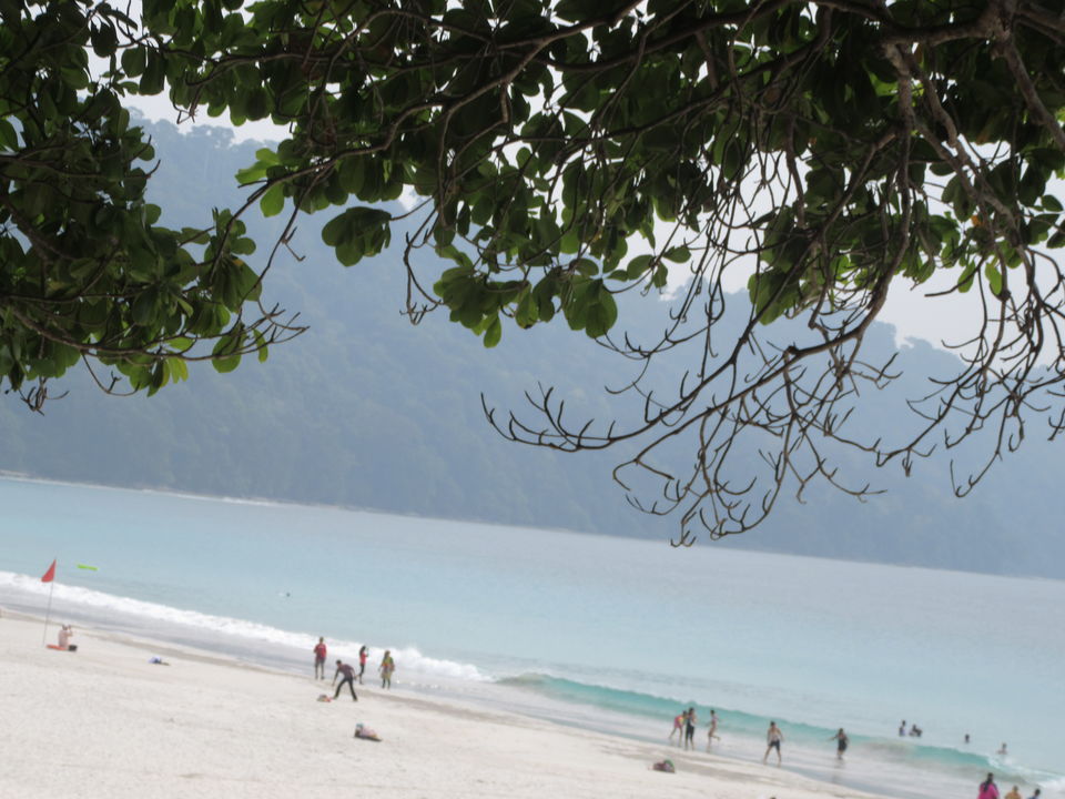 Photo of Neil Island, South Andaman, Andaman and Nicobar Islands, India by Debanjan Ray