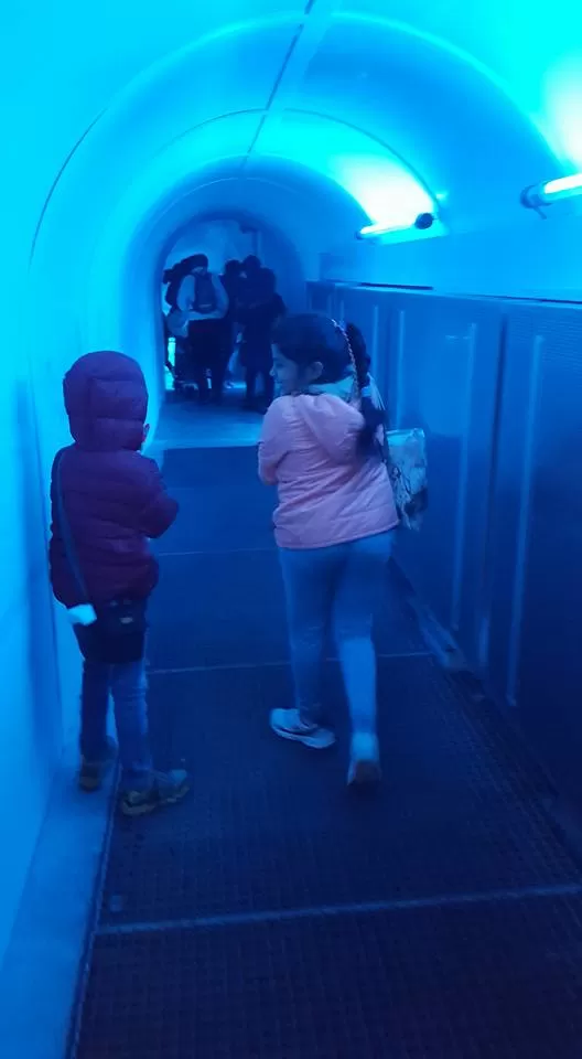 Photo of Titlis, Titlis, 6390 Gadmen, Switzerland by Mukesh Kwatra