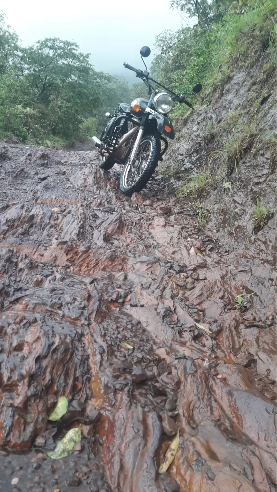 Photo of Monsoon Madness- Exploring The Westernghats by Siva Prakash