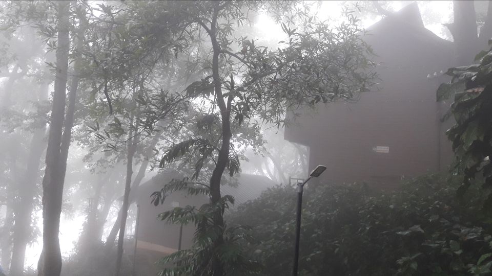 Photo of Monsoon Madness- Exploring The Westernghats by Siva Prakash
