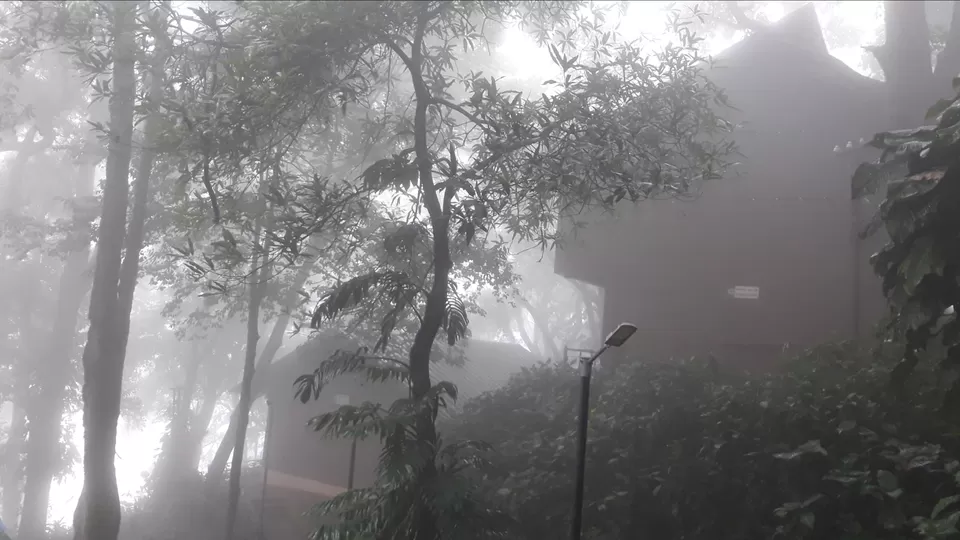 Photo of Monsoon Madness- Exploring The Westernghats by Siva Prakash