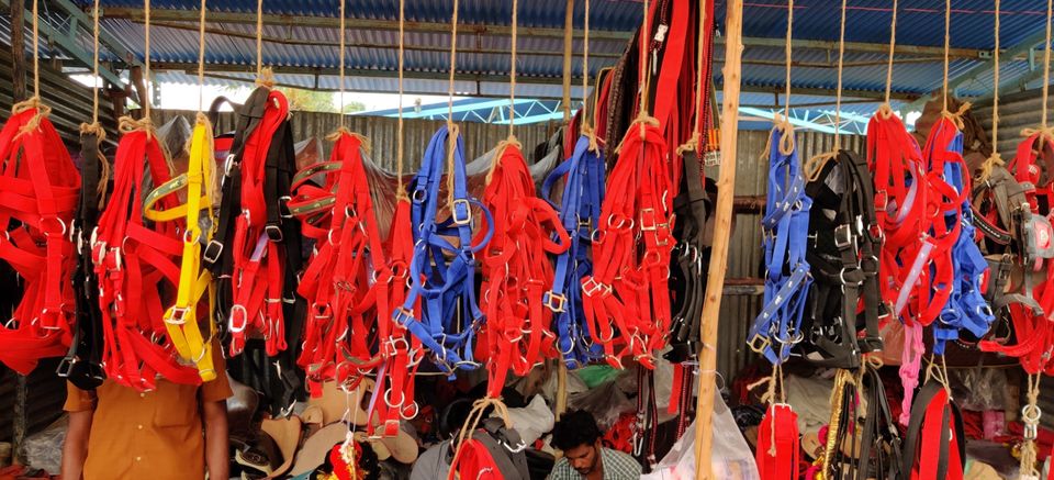 Photo of A Trip To Anthiur Horse Fair- One Of the Biggest In India by Siva Prakash