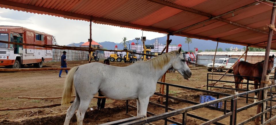 Photo of A Trip To Anthiur Horse Fair- One Of the Biggest In India by Siva Prakash