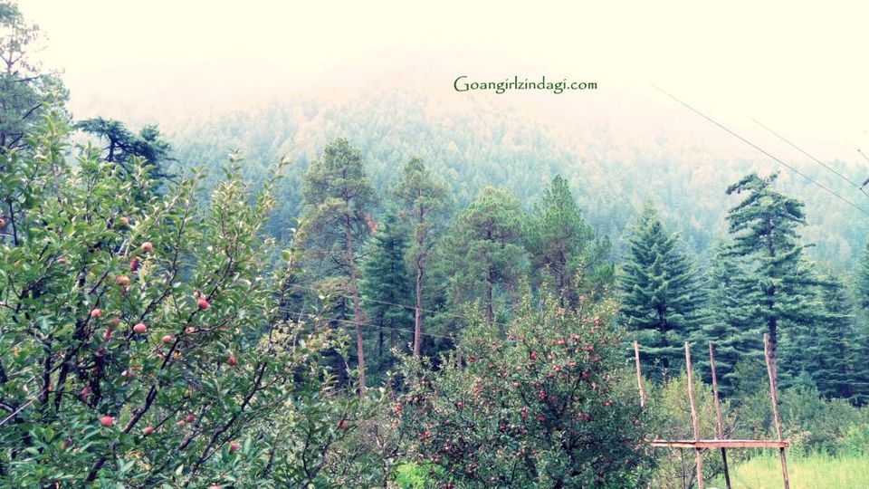 Photo of Kasol - The Solo Trip That Changed My Life 5/19 by The Goan Girl Zindagi