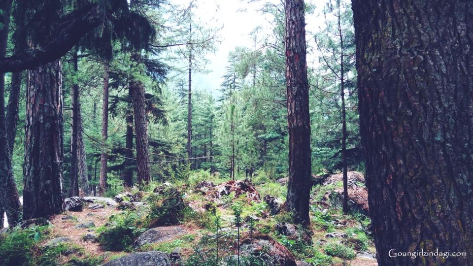 Photo of Kasol - The Solo Trip That Changed My Life 7/19 by The Goan Girl Zindagi