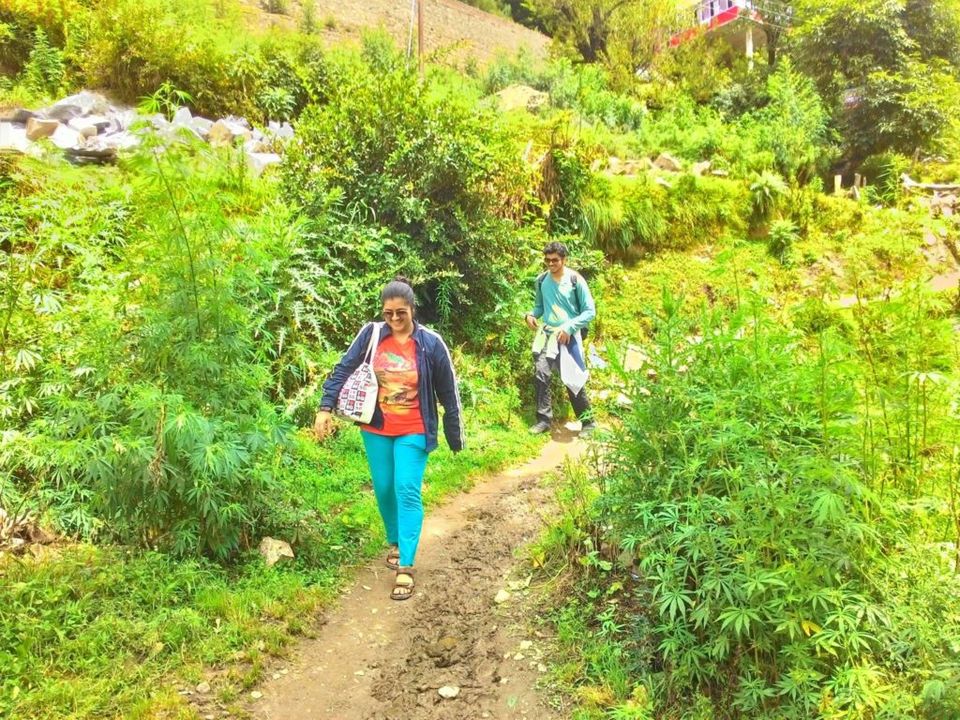 Photo of Kasol - The Solo Trip That Changed My Life 13/19 by The Goan Girl Zindagi
