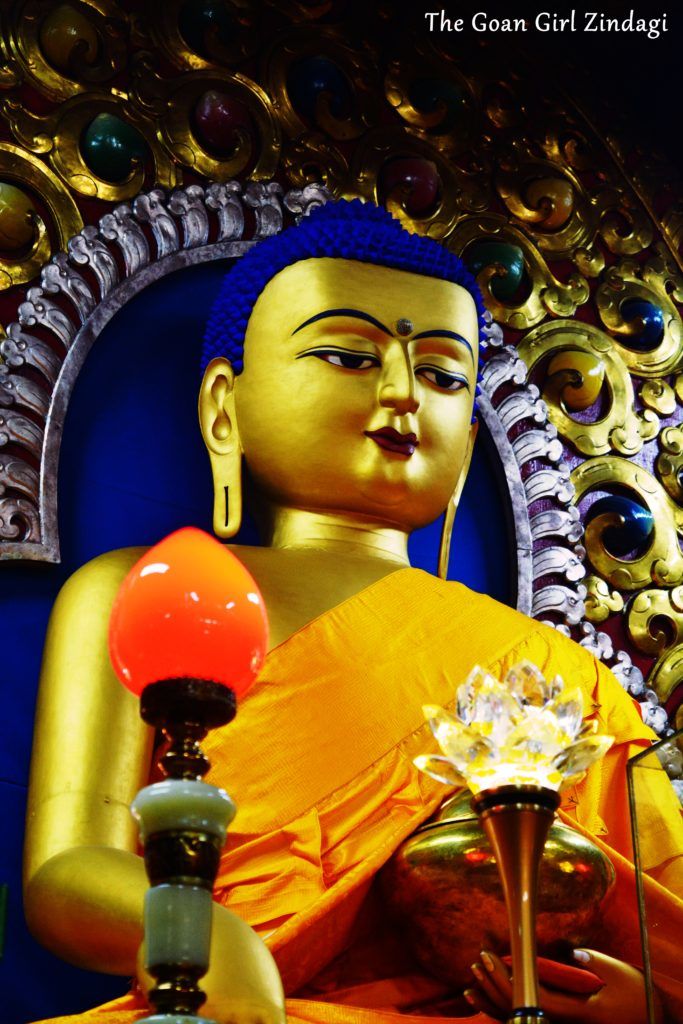 Photo of Weekend trip to Mcleodganj & Triund 2/21 by The Goan Girl Zindagi