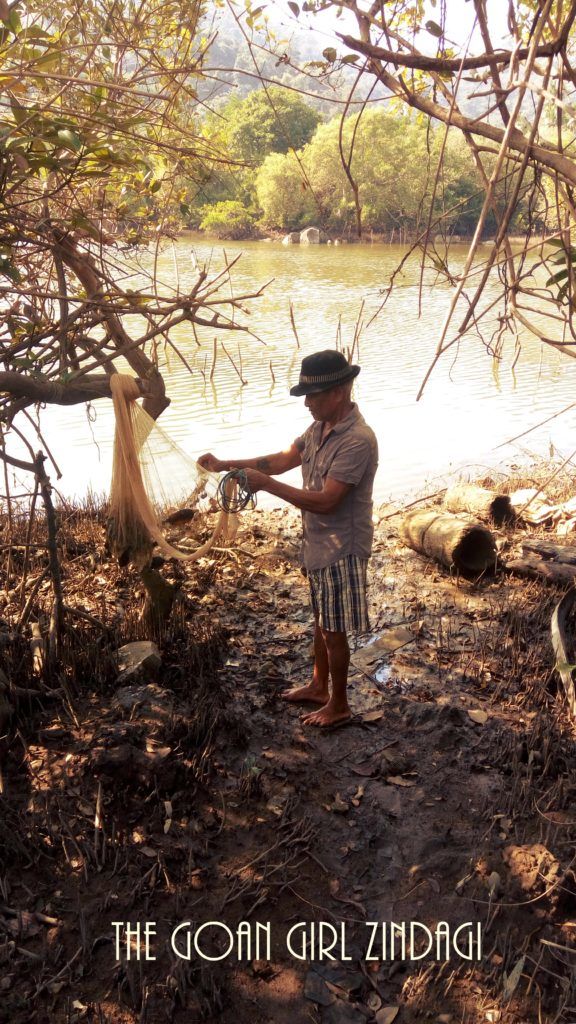 Photo of OFFBEAT GOA - BEYOND A TOURIST'S PERSPECTIVE 20/20 by ADITI CARAPURCAR
