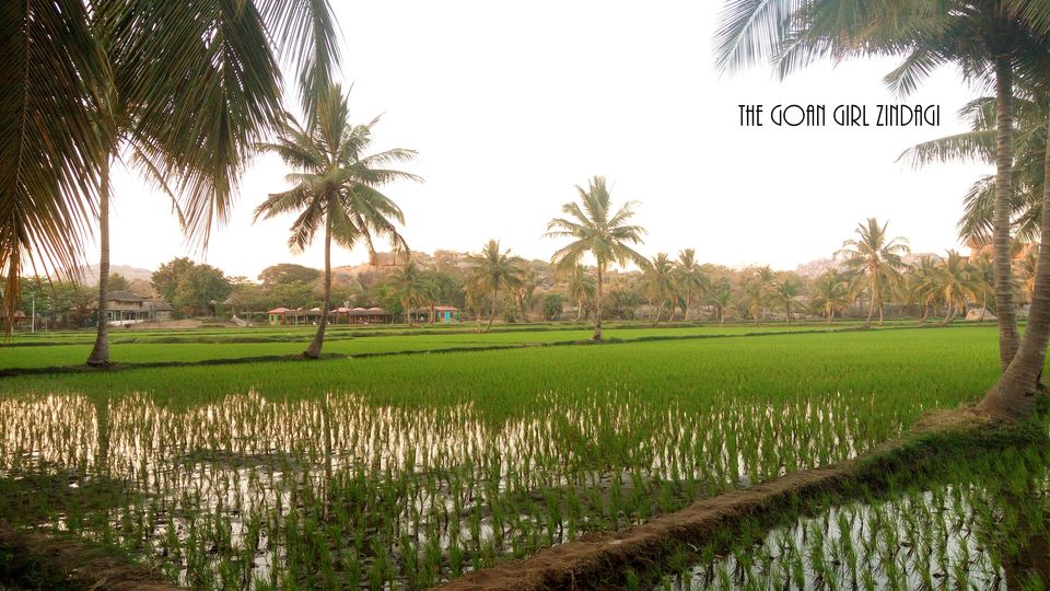Photo of 10 reasons to visit Hampi 2/14 by The Goan Girl Zindagi