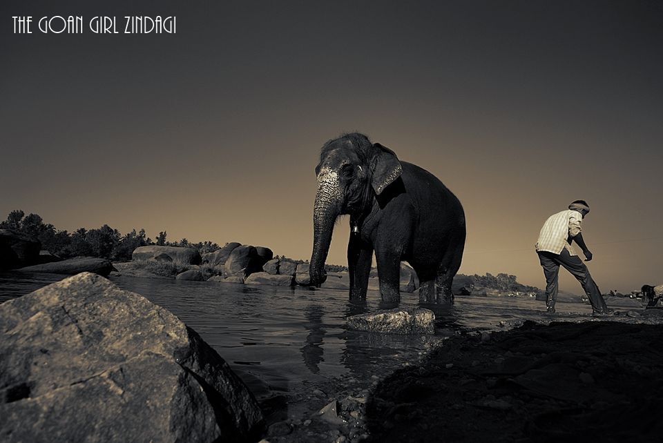 Photo of 10 reasons to visit Hampi 4/14 by The Goan Girl Zindagi
