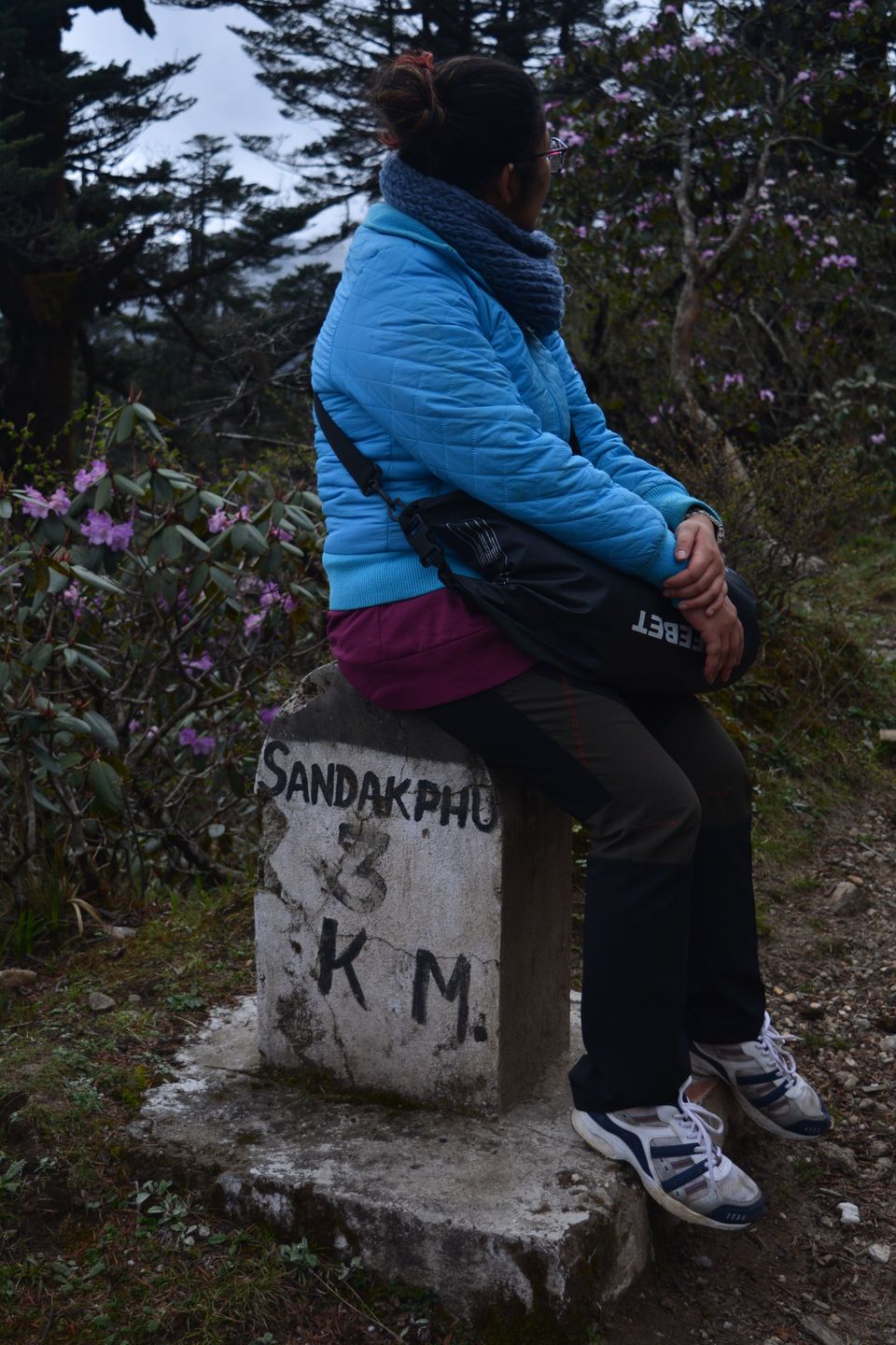 Photo of 10 MEMORABLE TREKKING EXPERIENCES OF MY LIFE 4/12 by ADITI CARAPURCAR