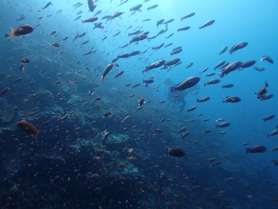 Photo of Koh Tao (Mae Haad Pier), Ko Tao, Thailand by Rohan Kumar Debbarma