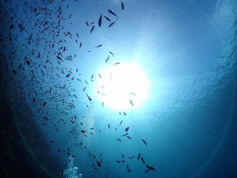 Photo of Koh Tao, Thailand - Slice of Heaven by Rohan Kumar Debbarma