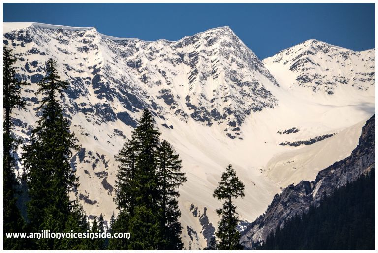 Photo of All about the trip- Old Manali 5/9 by Shanta TS