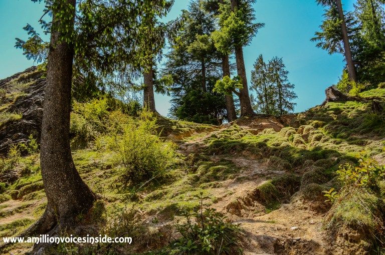 Photo of Lama Dugh Trek 18/30 by Shanta TS