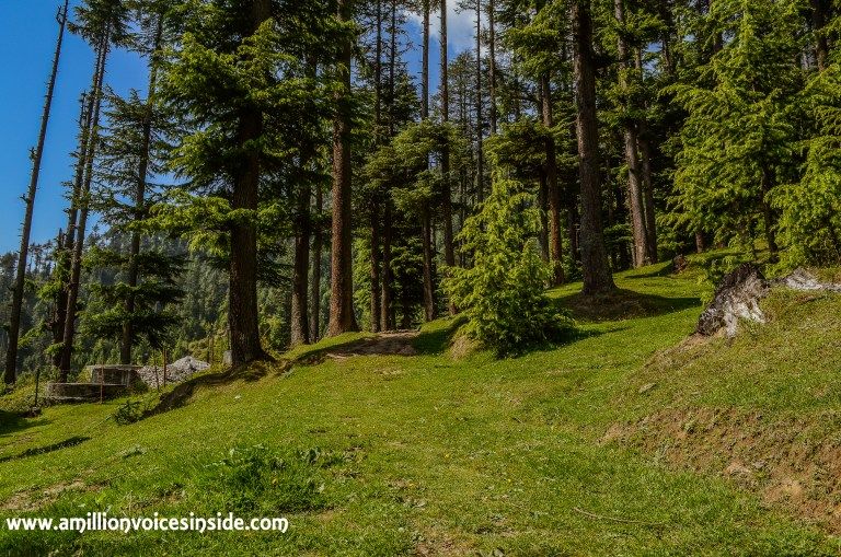Photo of Lama Dugh Trek 3/30 by Shanta TS