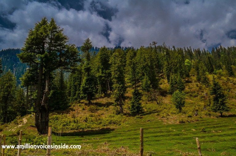 Photo of Lama Dugh Trek 7/30 by Shanta TS