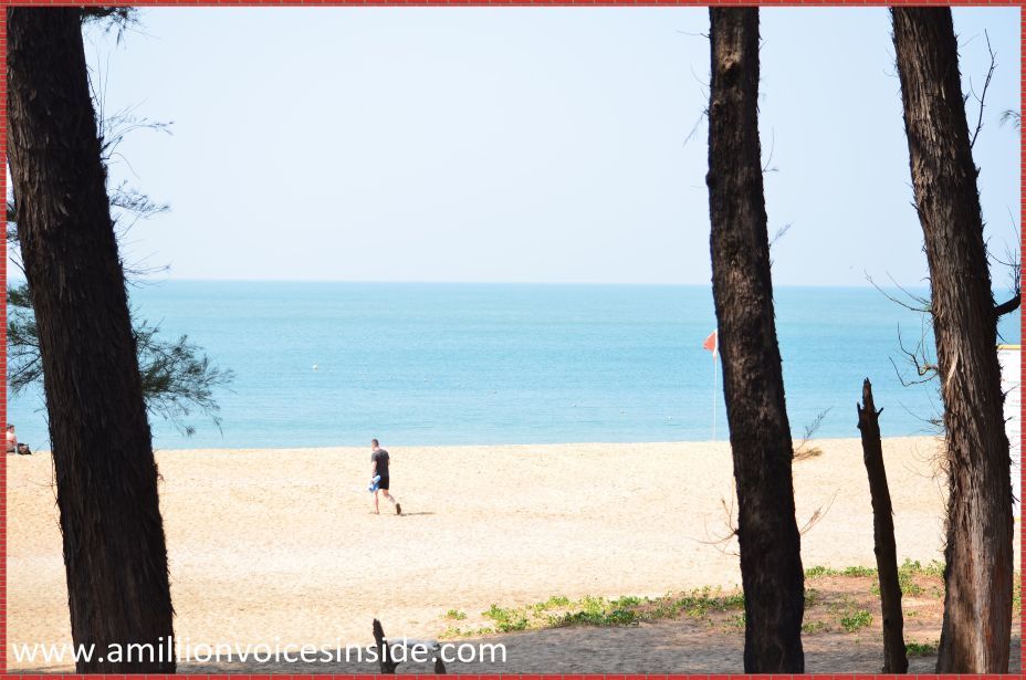Photo of Goa: Galjibaga beach 3/23 by Shanta TS