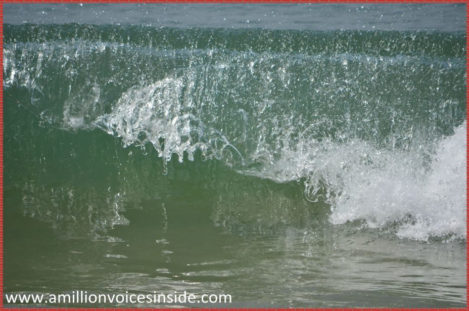 Photo of Goa: Galjibaga beach 9/23 by Shanta TS